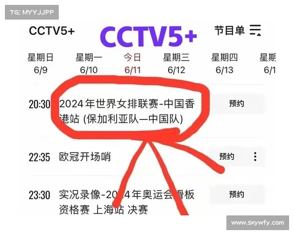 体育频道女排联赛,今日女排赛事焦点直播赛程对阵与实时比分更新