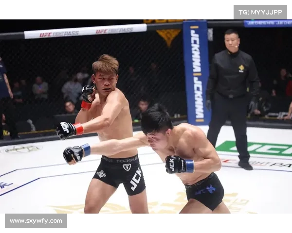 国外自由搏击赛事;国外擂台自由搏击