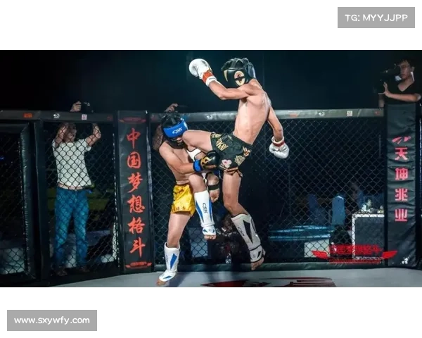 子弹飞格斗冠军赛直播